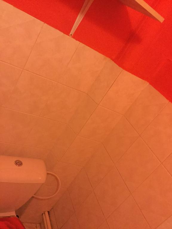 Lydiavi Daire Vysoké Mýto Dış mekan fotoğraf