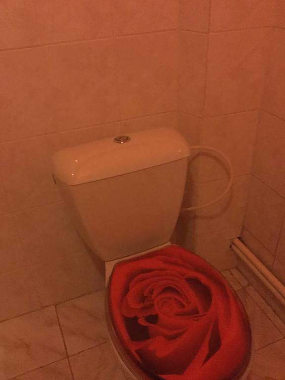 Lydiavi Daire Vysoké Mýto Dış mekan fotoğraf